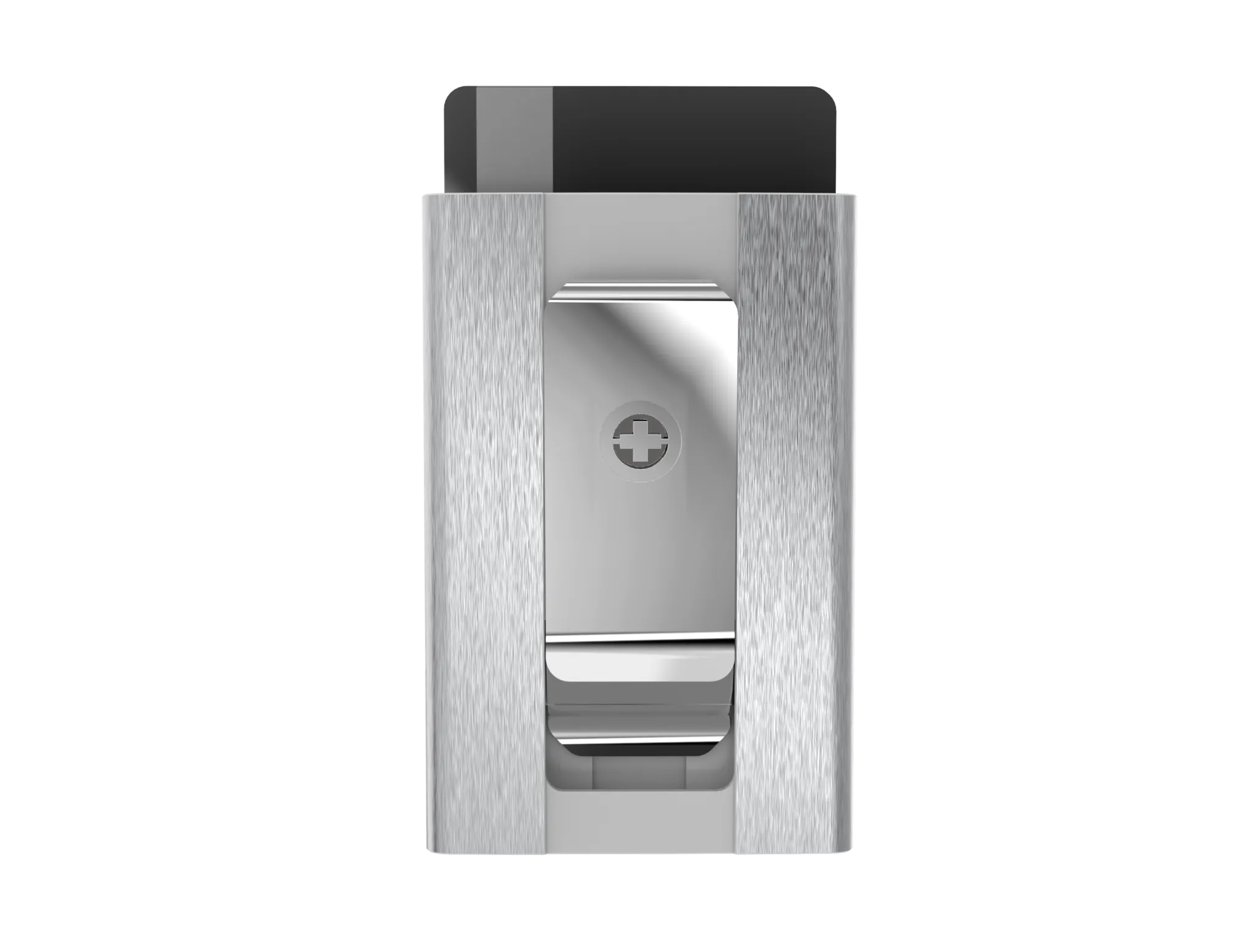 SWISS WALLET ICE, Cardholder Money-clip, brushed silver