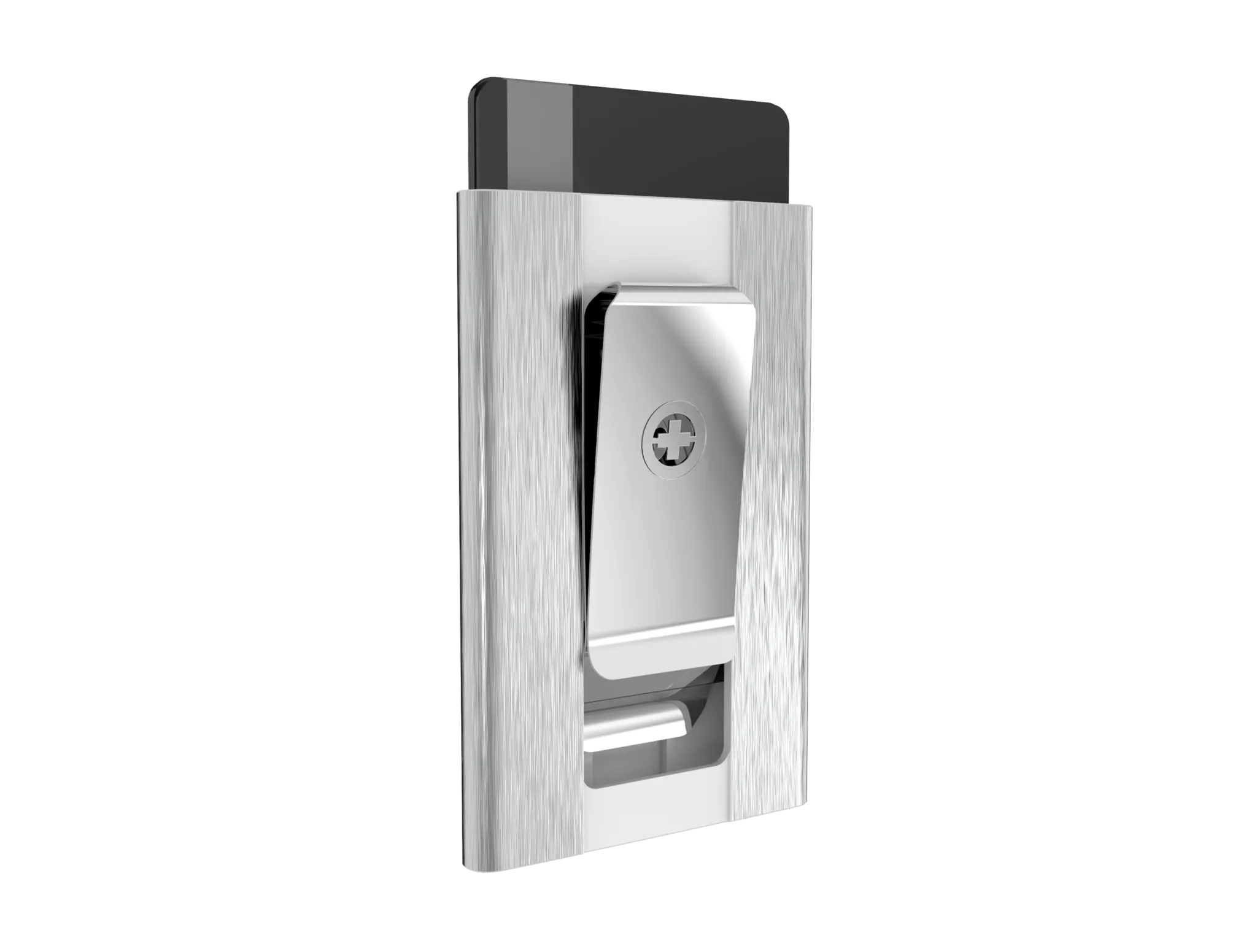 SWISS WALLET ICE, Cardholder Money-clip, brushed silver